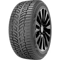 DoubleStar 225/45R17 94H Winterking DW08