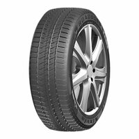 Roadboss 245/45R20 103H XL W301